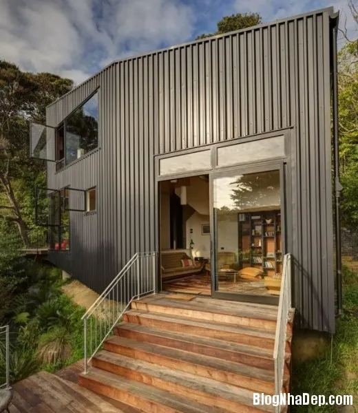 Blackpoll House – Ngôi nhà đầy phong cách nằm trên ngọn đồi
