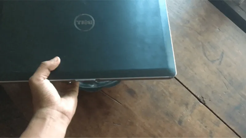 Mẹo xử lý kiến chui vào laptop tại nhà đơn giản nhất