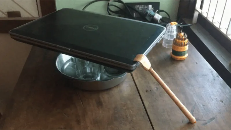 Mẹo xử lý kiến chui vào laptop tại nhà đơn giản nhất